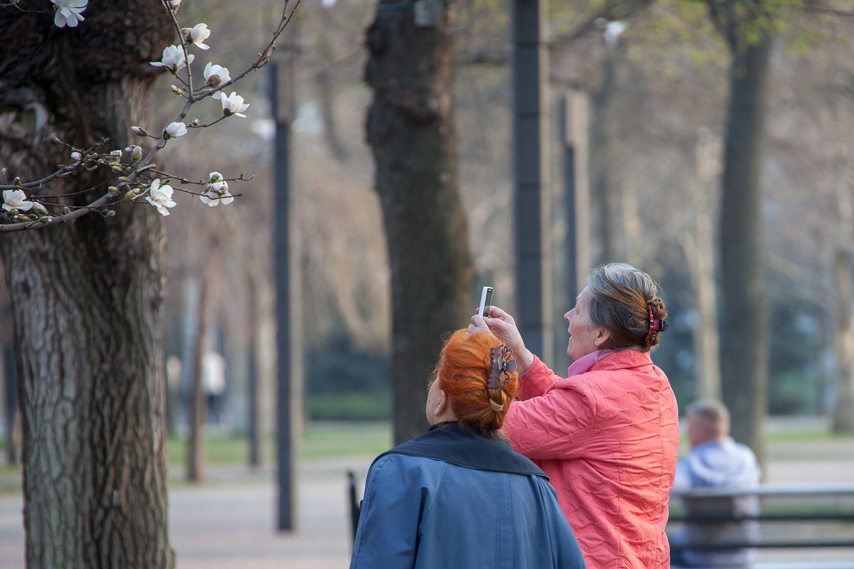 В общем, славно, когда хватает времени остановиться и понюхать магнолии (почти Джоанн Харрис) В общем, славно, когда хватает времени остановиться и понюхать магнолии (почти Джоанн Харрис)