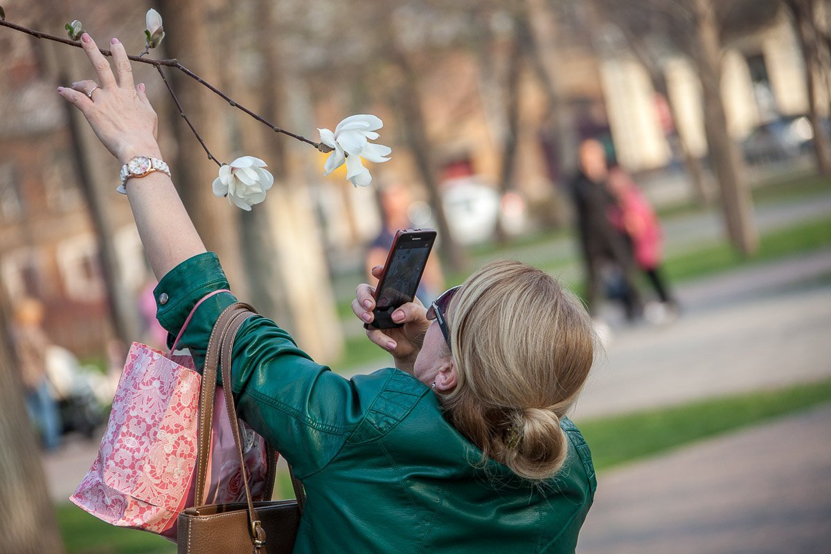 Нельзя просто так взять и пройти мимо весеннего цвета Нельзя просто так взять и пройти мимо весеннего цвета