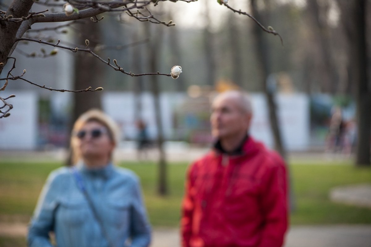 Весна задержалась, но все же принесла твое тепло в Днепр Весна задержалась, но все же принесла твое тепло в Днепр