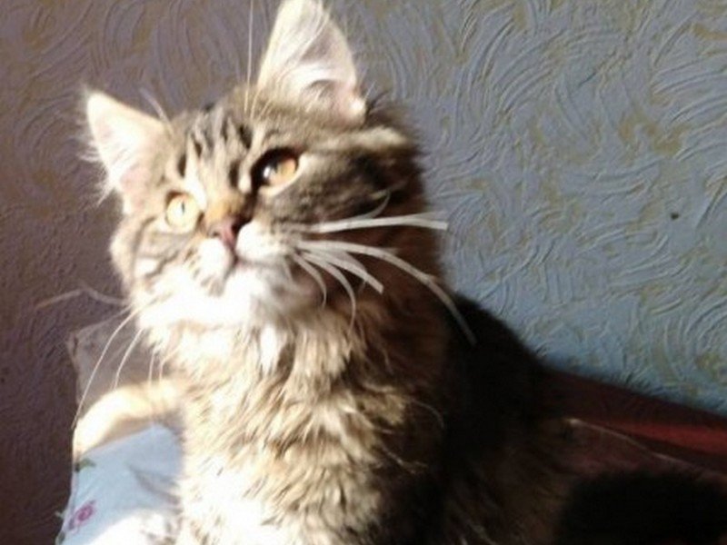 Он явно знает что-то, что не знаете вы