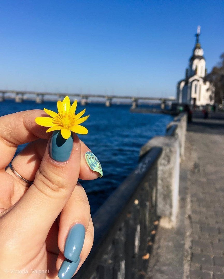 Учись у весны - расцветай. Фото: _vi_ktoria_ Учись у весны - расцветай. Фото: _vi_ktoria_