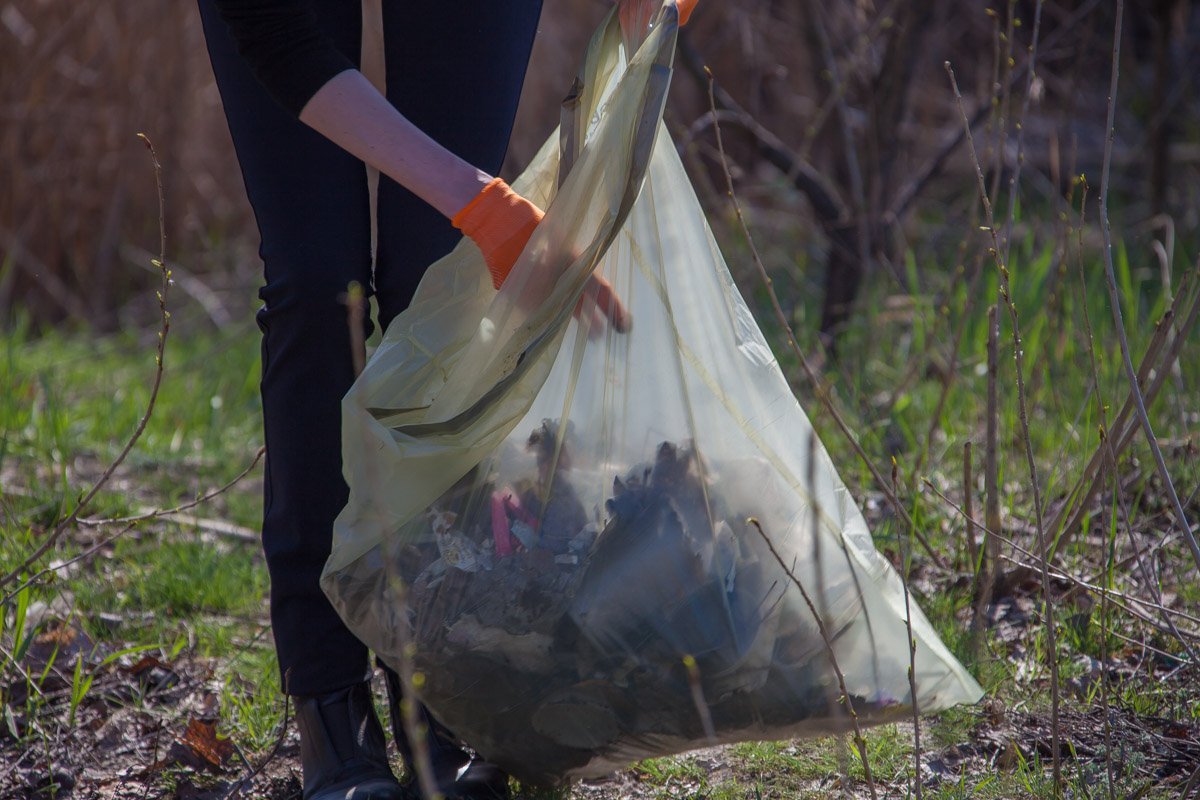 Сухие листья тоже изрядно портят картину. В топку их