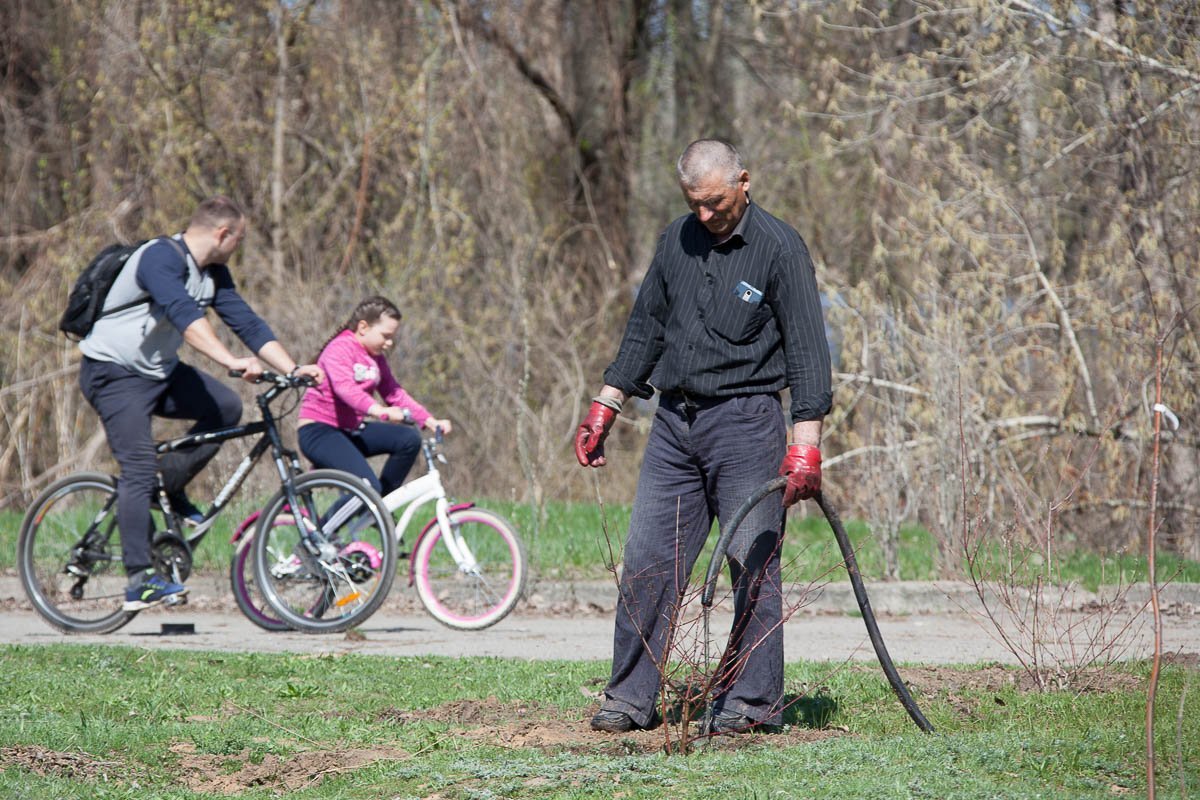 Саженцы от "Зеленого мира" высадили недалеко от косы