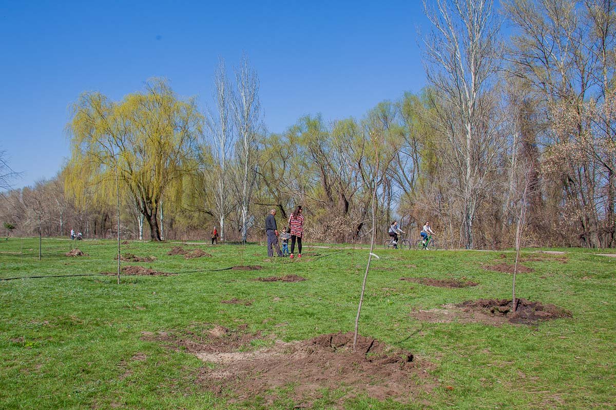 Через несколько лет природа и ваши легкие скажут большое спасибо за это