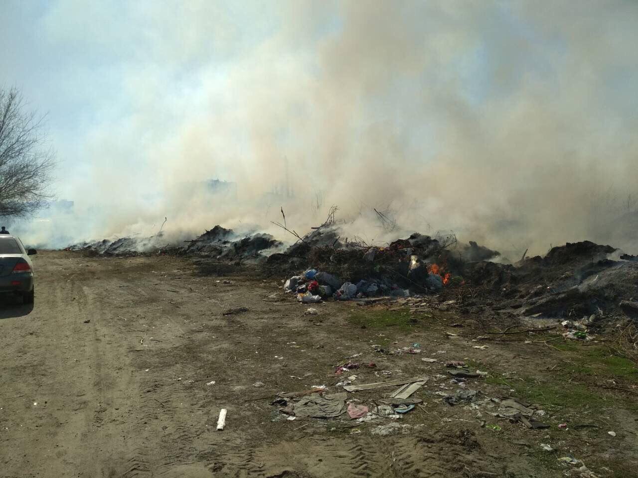 Что стало причиной масштабного пожара станет известно в ближайшее время