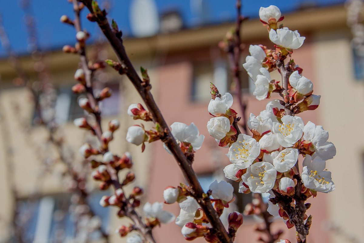 Кто бы подумал, что в этой белизне столько оттенков Кто бы подумал, что в этой белизне столько оттенков