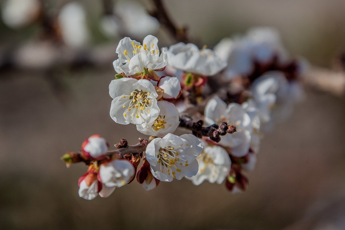 Который раз убеждаешься, что вся красота - в деталях Который раз убеждаешься, что вся красота - в деталях