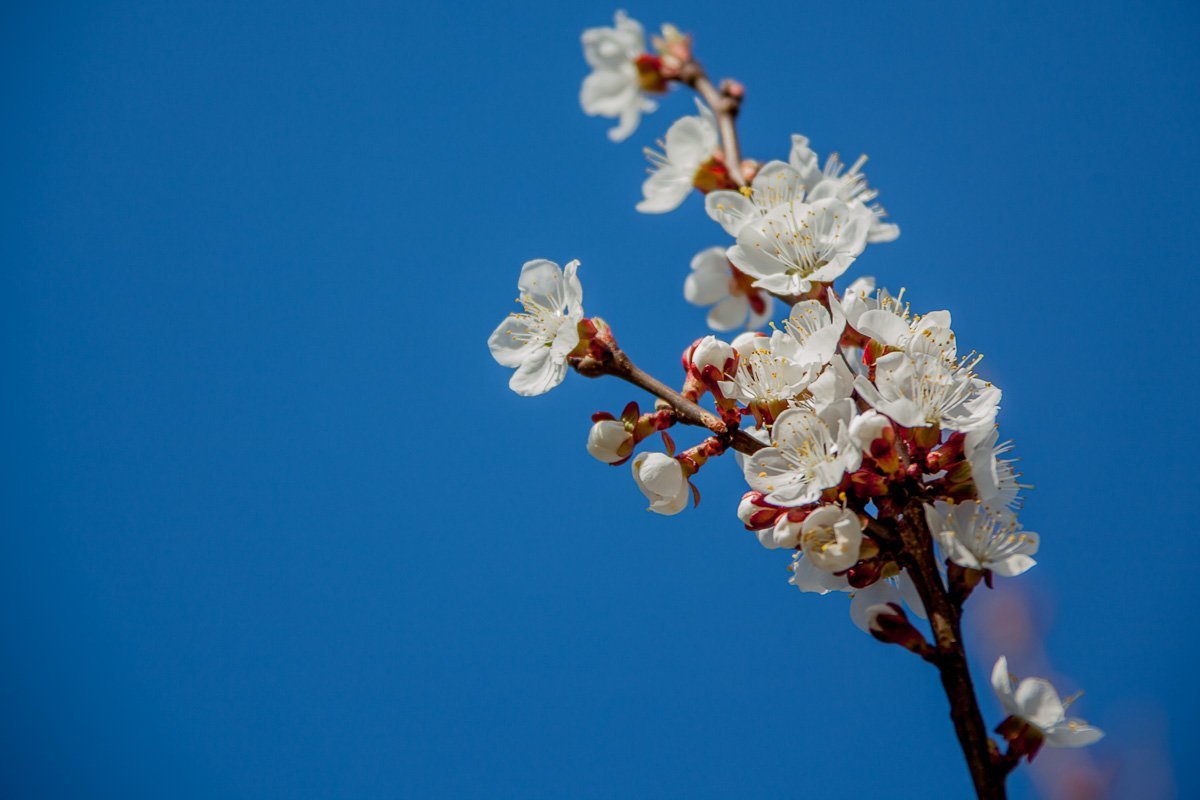 И пусть холода только попробуют вернуться И пусть холода только попробуют вернуться