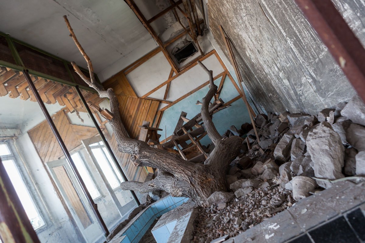 Живой уголок умер Живой уголок умер