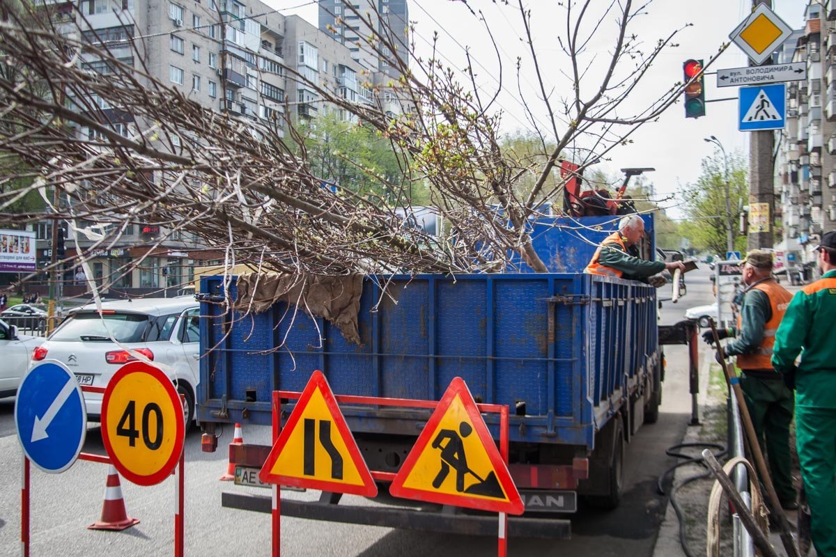 Такое количество обусловлено вместимостью машины Такое количество обусловлено вместимостью машины