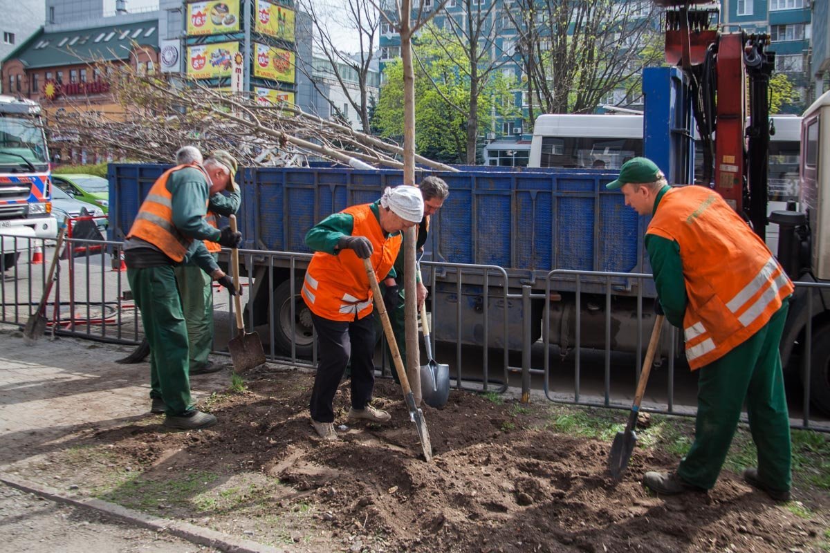 Занимается этим КП «Горзеленстрой» Занимается этим КП «Горзеленстрой»