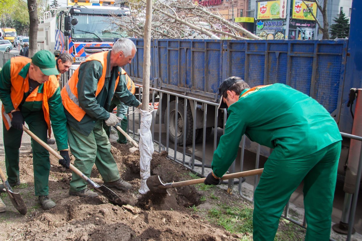 На предприятии работают около 200 человек, задействовано около 30 единиц техники На предприятии работают около 200 человек, задействовано около 30 единиц техники