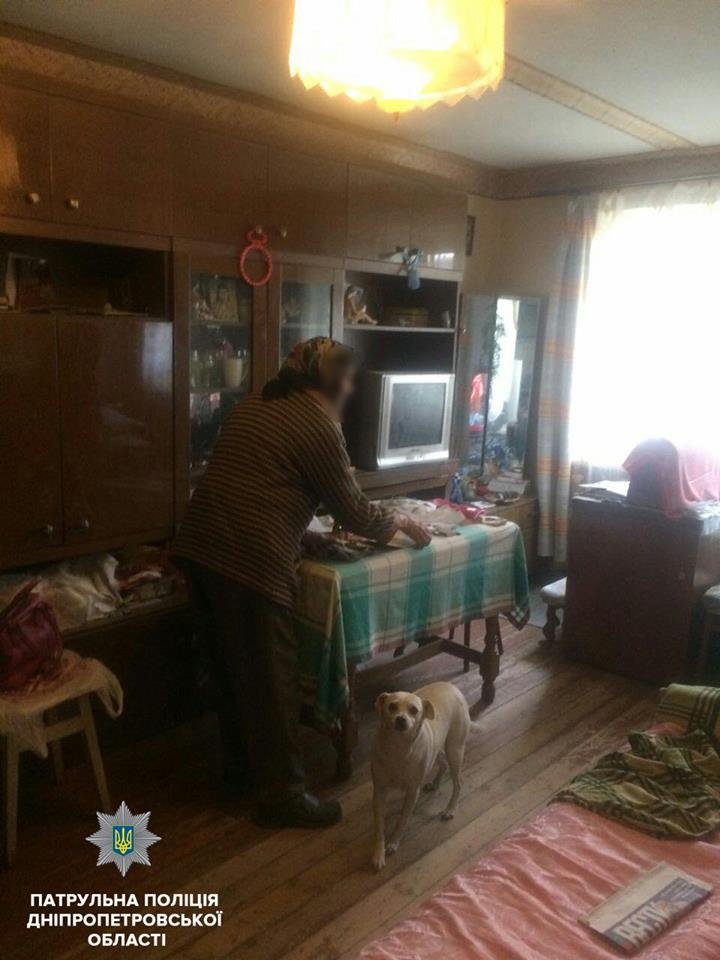 Бабушка потерялась, но переживала за домашнего любимца, который остался дома голодный Бабушка потерялась, но переживала за домашнего любимца, который остался дома голодный