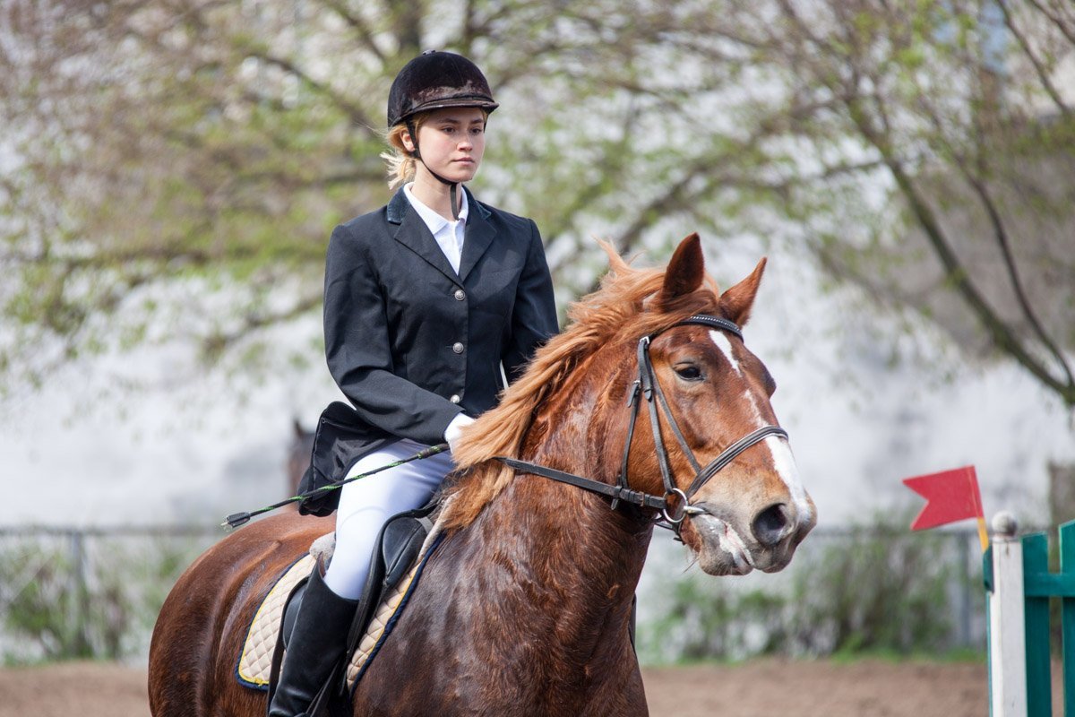 В Днепр съехались более 80-ти всадников В Днепр съехались более 80-ти всадников