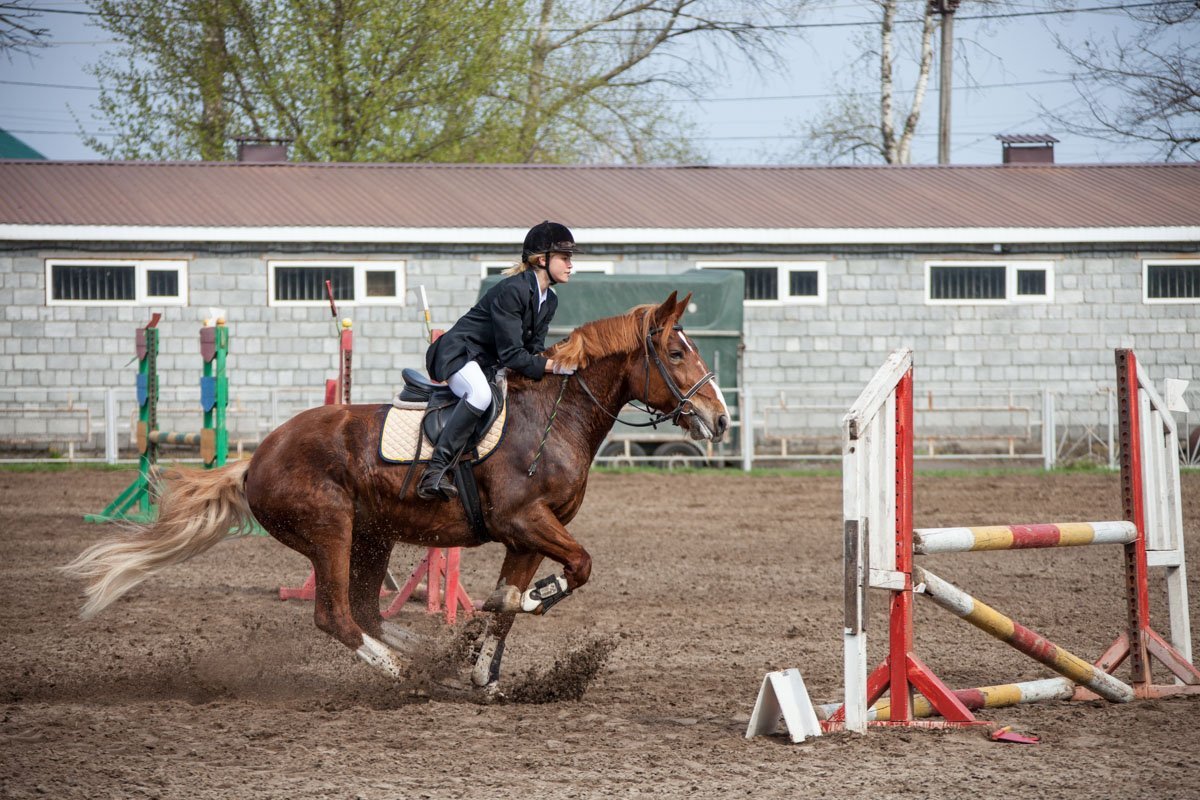 В Днепре начались соревнования по конному спорту В Днепре начались соревнования по конному спорту