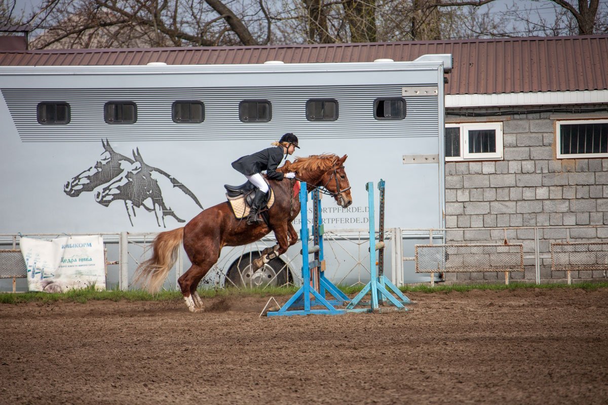 Чемпионат будет проходить в течении трех дней - с 20 по 22 апреля в специализированной детско-юношеской спортивной школе олимпийского резерва по конному спорту Чемпионат будет проходить в течении трех дней - с 20 по 22 апреля в специализированной детско-юношеской спортивной школе олимпийского резерва по конному спорту