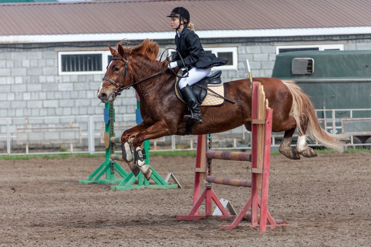 В открытом чемпионате участники соревновались в категориях среди юниоров, юношей и детей В открытом чемпионате участники соревновались в категориях среди юниоров, юношей и детей