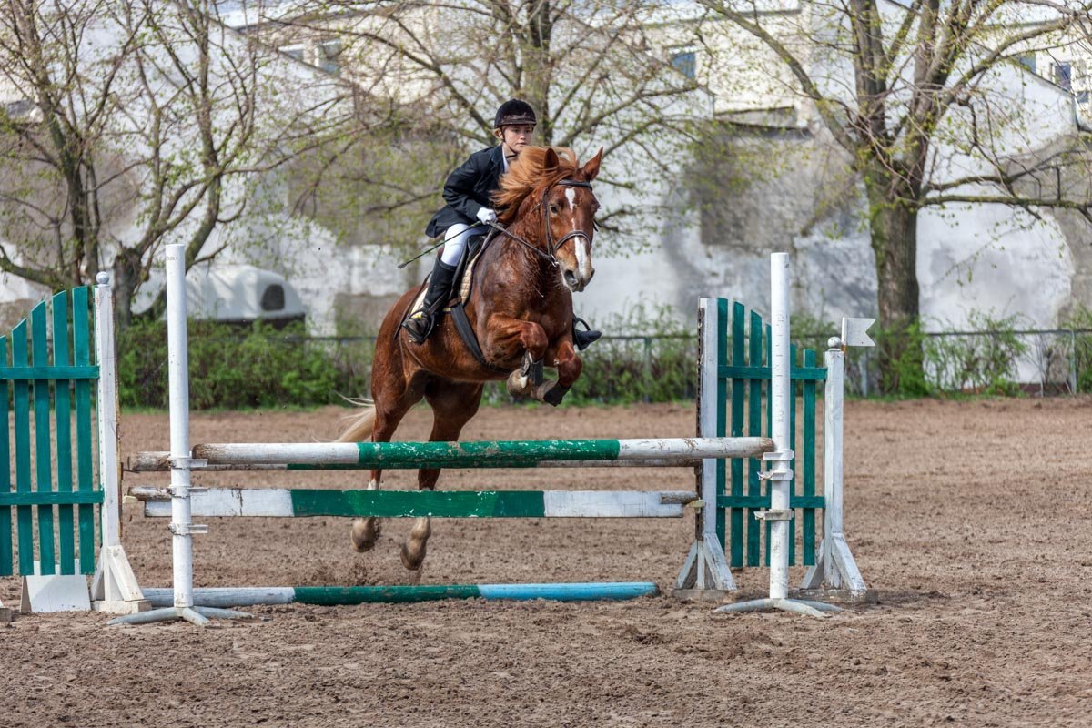 Параллельно также проходил чемпионат области по конному спорту по выездке Параллельно также проходил чемпионат области по конному спорту по выездке