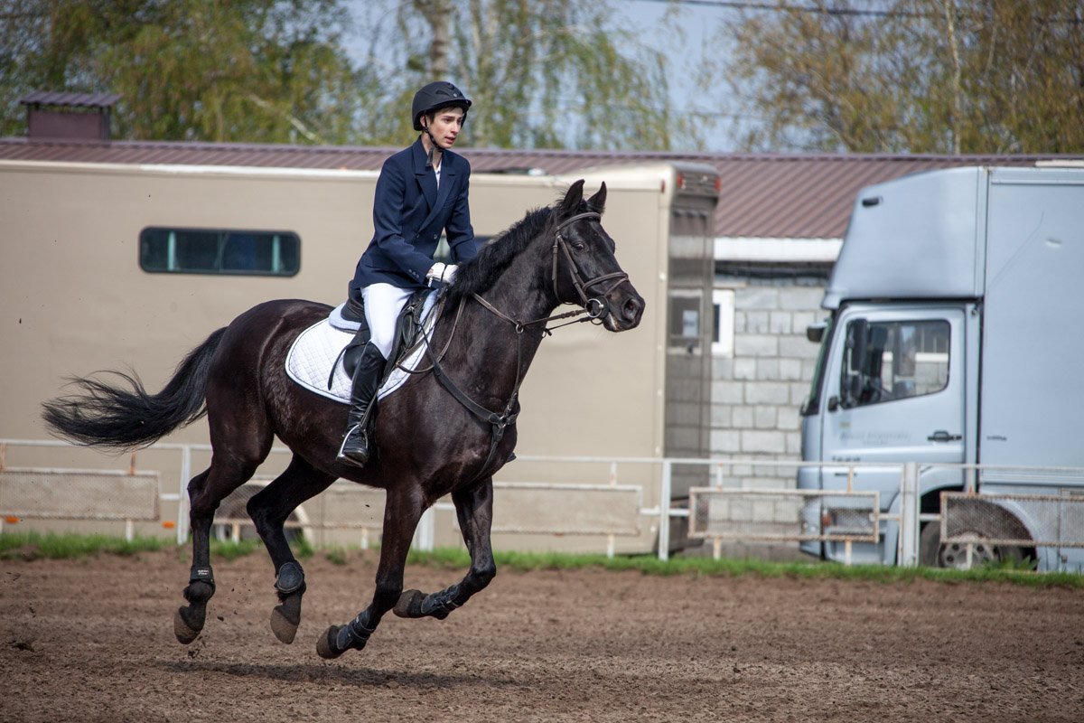 В соревнованиях приняли участие около 80 спортсменов из Днепра и Запорожья В соревнованиях приняли участие около 80 спортсменов из Днепра и Запорожья