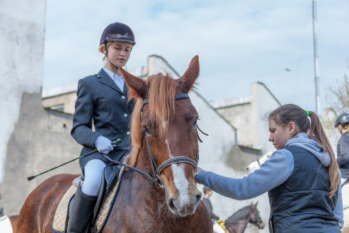 Соревнования по выездке проводились на манеже по специальным программам, которые участники выполняли наизусть Соревнования по выездке проводились на манеже по специальным программам, которые участники выполняли наизусть
