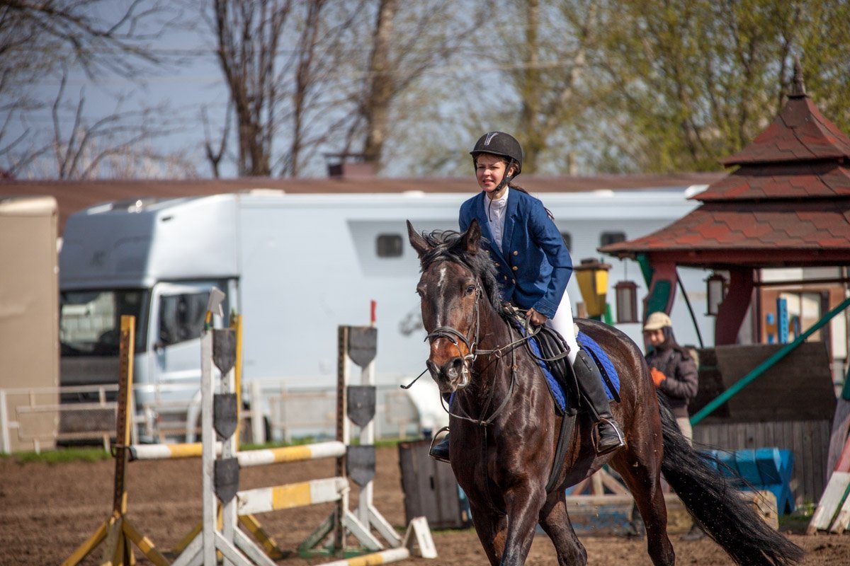 Судьи оценивали выступление всадников в баллах Судьи оценивали выступление всадников в баллах
