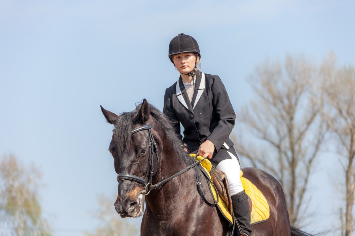 Такие соревнования проводятся с целью популяризации конного спорта Такие соревнования проводятся с целью популяризации конного спорта