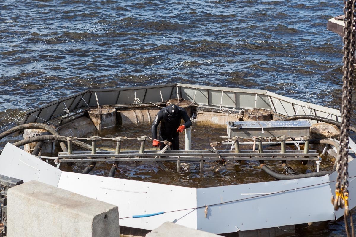 Этот фонтан установили на набережной еще в 2005 году