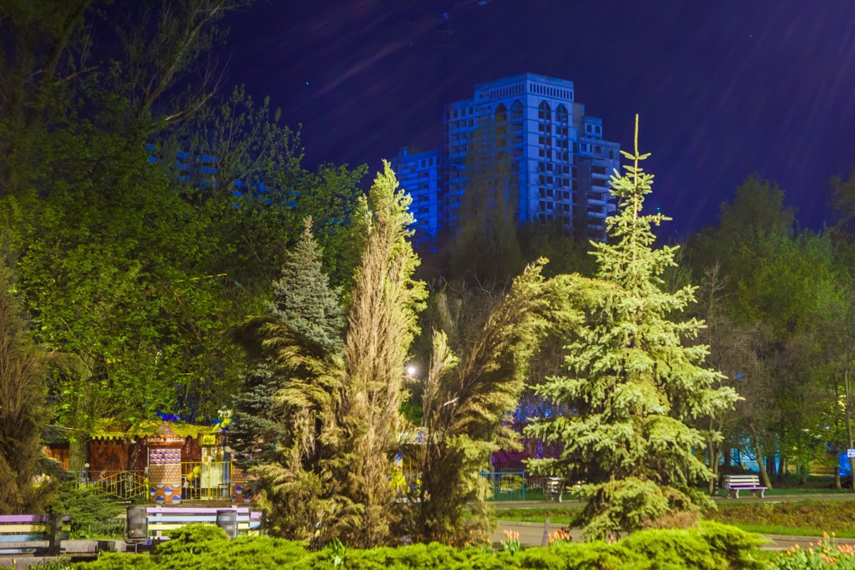 Елочки шепчутся между собой, обсуждая величие многоэтажки Елочки шепчутся между собой, обсуждая величие многоэтажки