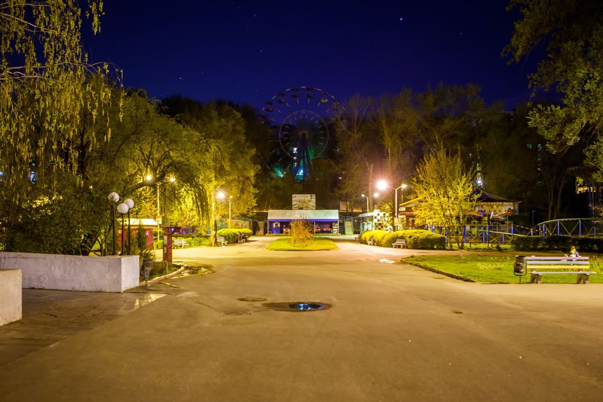 В гуще деревьев спряталось колесо обозрения - изюминка парка Глобы В гуще деревьев спряталось колесо обозрения - изюминка парка Глобы