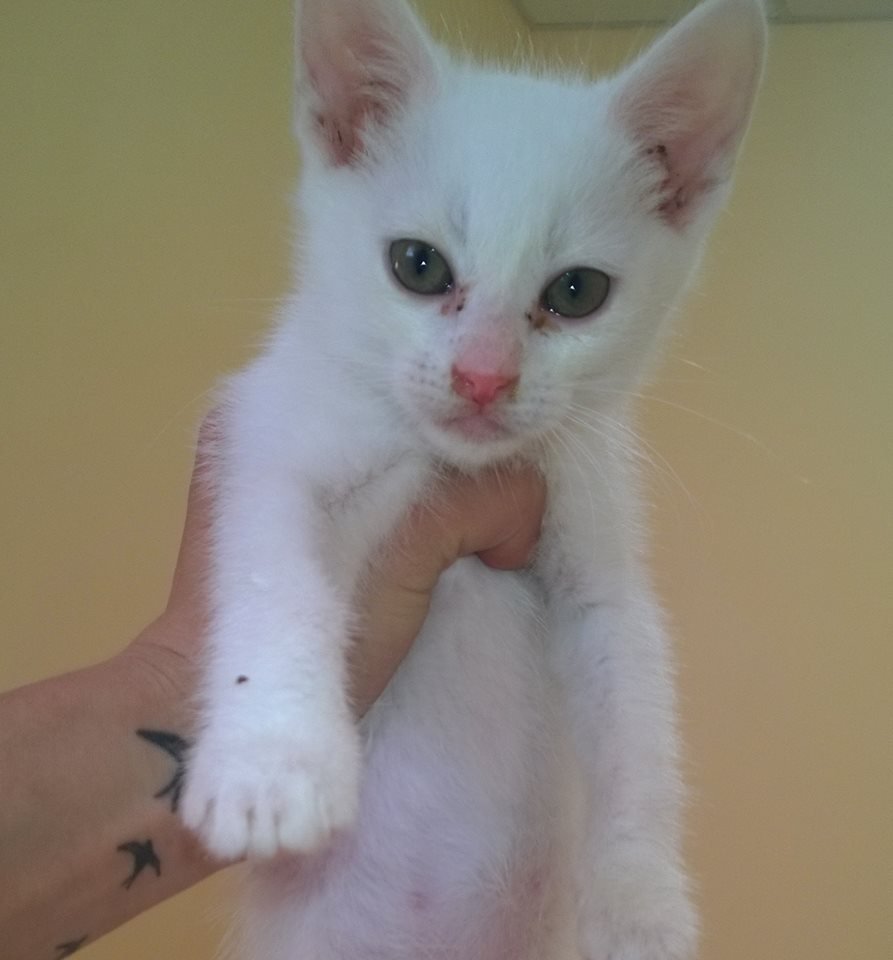 Приезжай и забирай