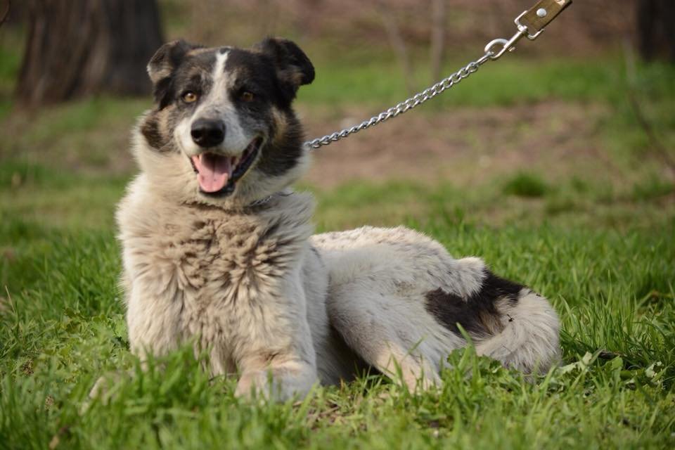 Даже он улыбается, а вы нет