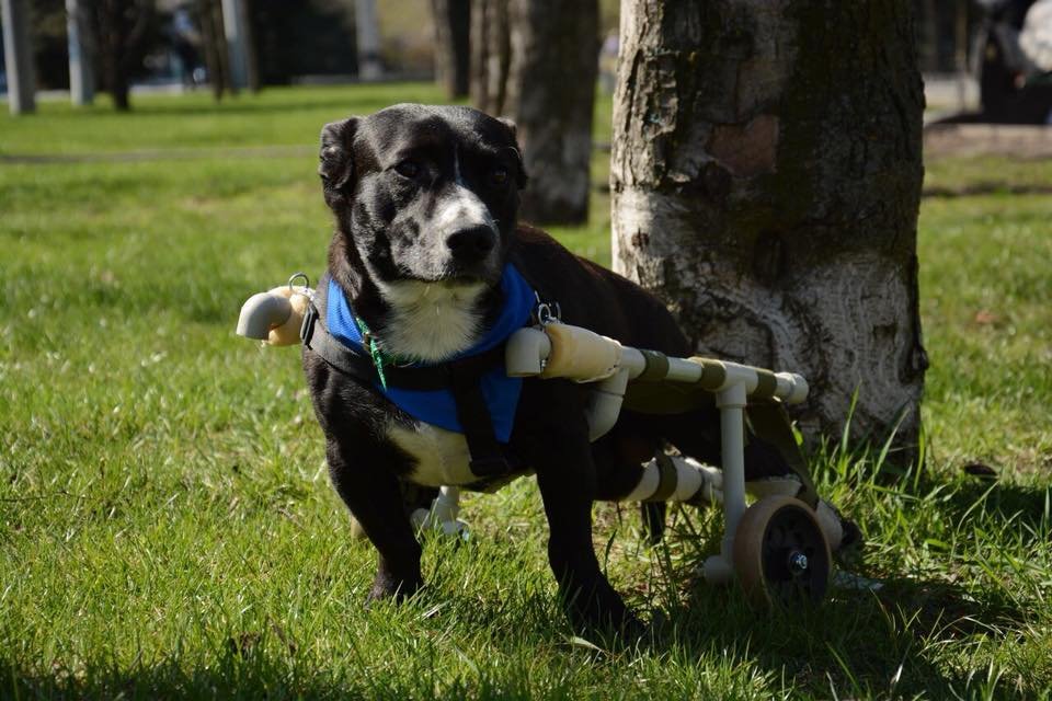 Любить тебя и всю твою семью