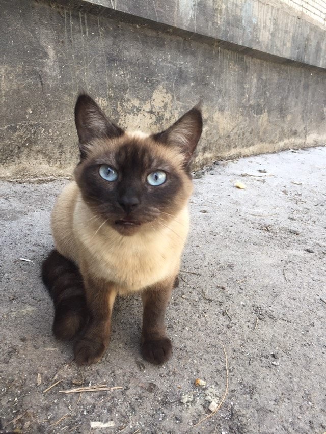 Че смотришь, забирай