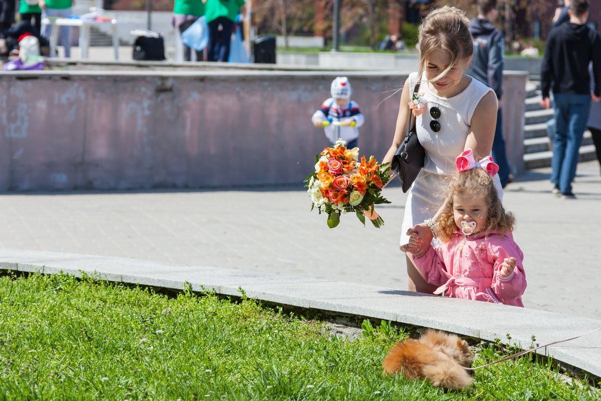 Когда очень хочется потрогать собачку, но ты же леди Когда очень хочется потрогать собачку, но ты же леди