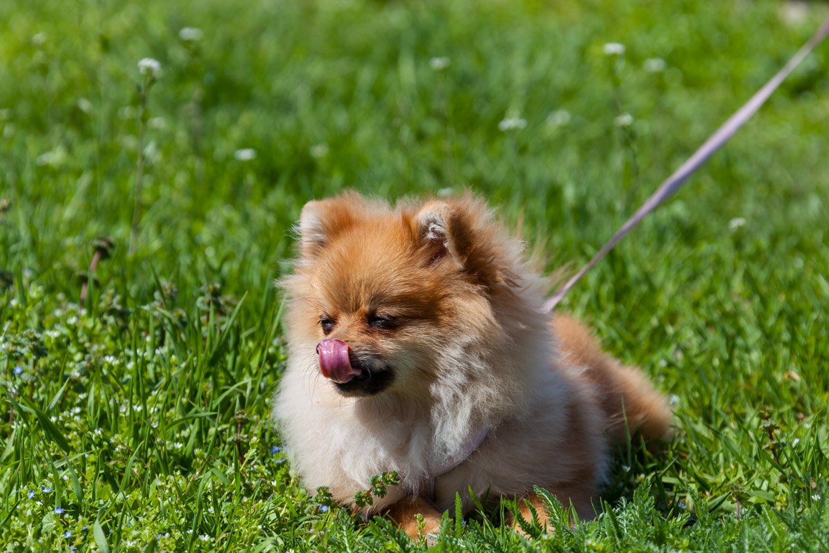 Замечательно лежать на траве, когда тебя не трогают дети Замечательно лежать на траве, когда тебя не трогают дети