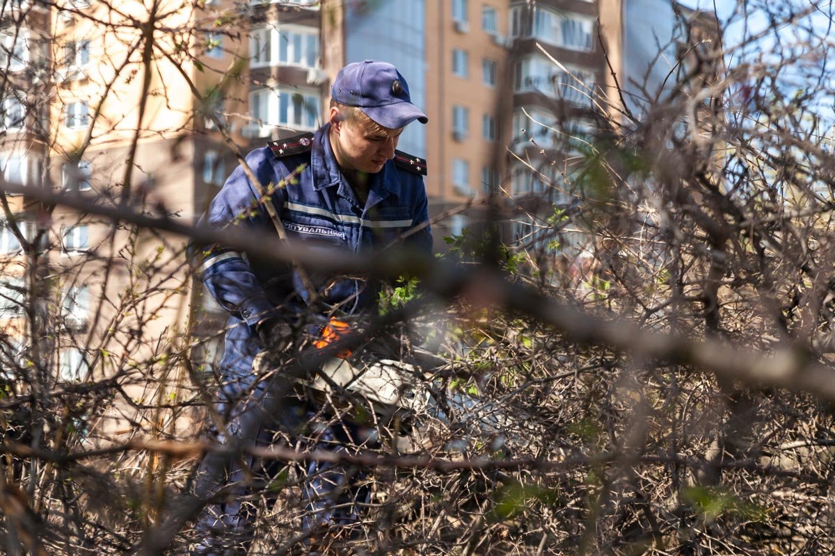 Солнечный день уборки