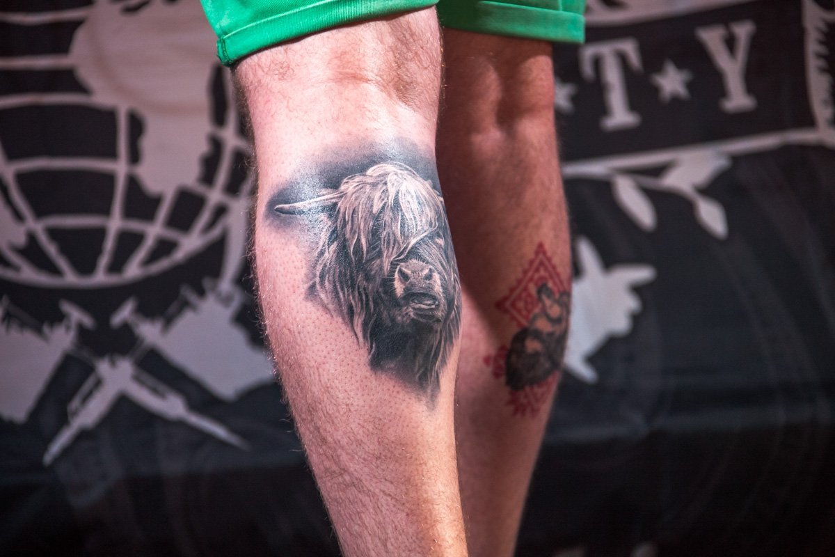 На эту и на ту