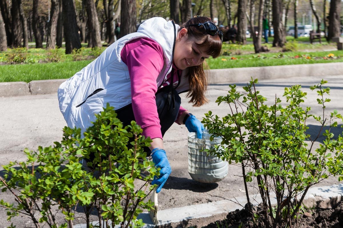 На территории парка Писаржевского проводят ряд работ по благоустройству и обеспечению соответствующего санитарного состояния На территории парка Писаржевского проводят ряд работ по благоустройству и обеспечению соответствующего санитарного состояния