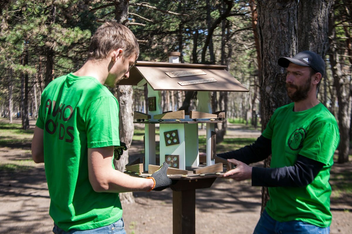 Устанавливают кормушки для птиц и белок и скворечники Устанавливают кормушки для птиц и белок и скворечники