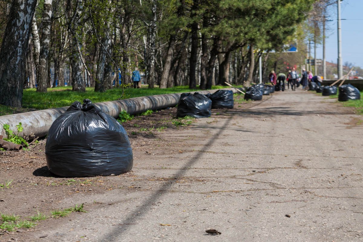 Мусора и листьев в парке очень много Мусора и листьев в парке очень много