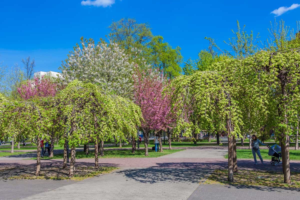 Выходи из комнаты, совершай ошибку Выходи из комнаты, совершай ошибку