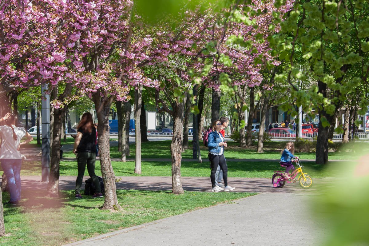 В воздухе пахнет весной и любовью В воздухе пахнет весной и любовью