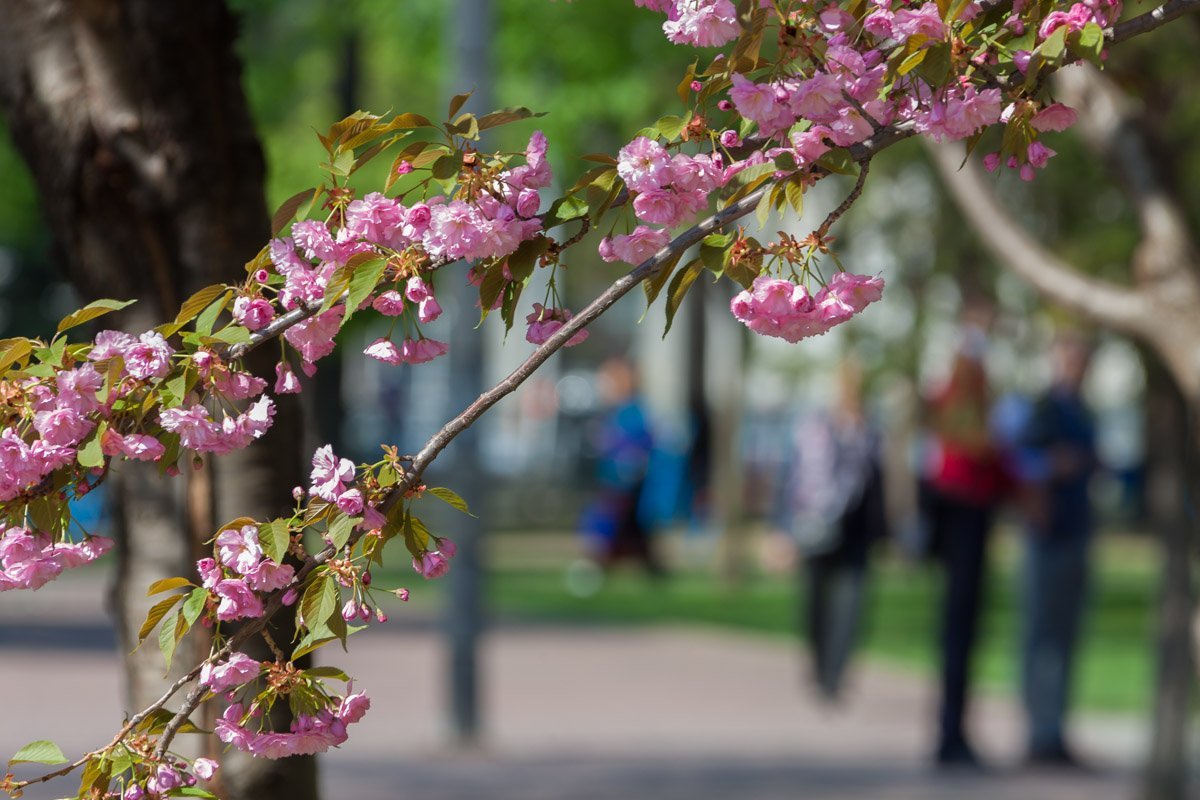Самые лучшие фото города попадут в нашу подборку Самые лучшие фото города попадут в нашу подборку