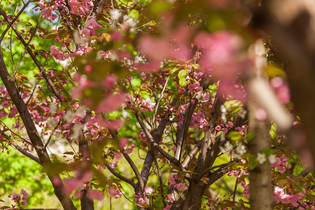 Хватит сидеть дома Хватит сидеть дома