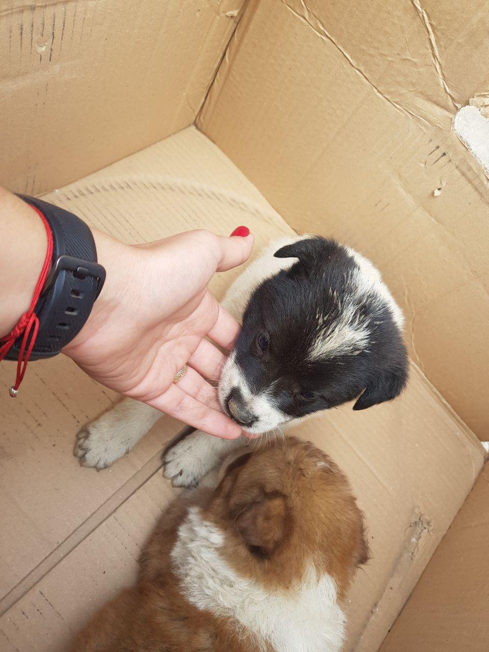 Малыши открыты к общению