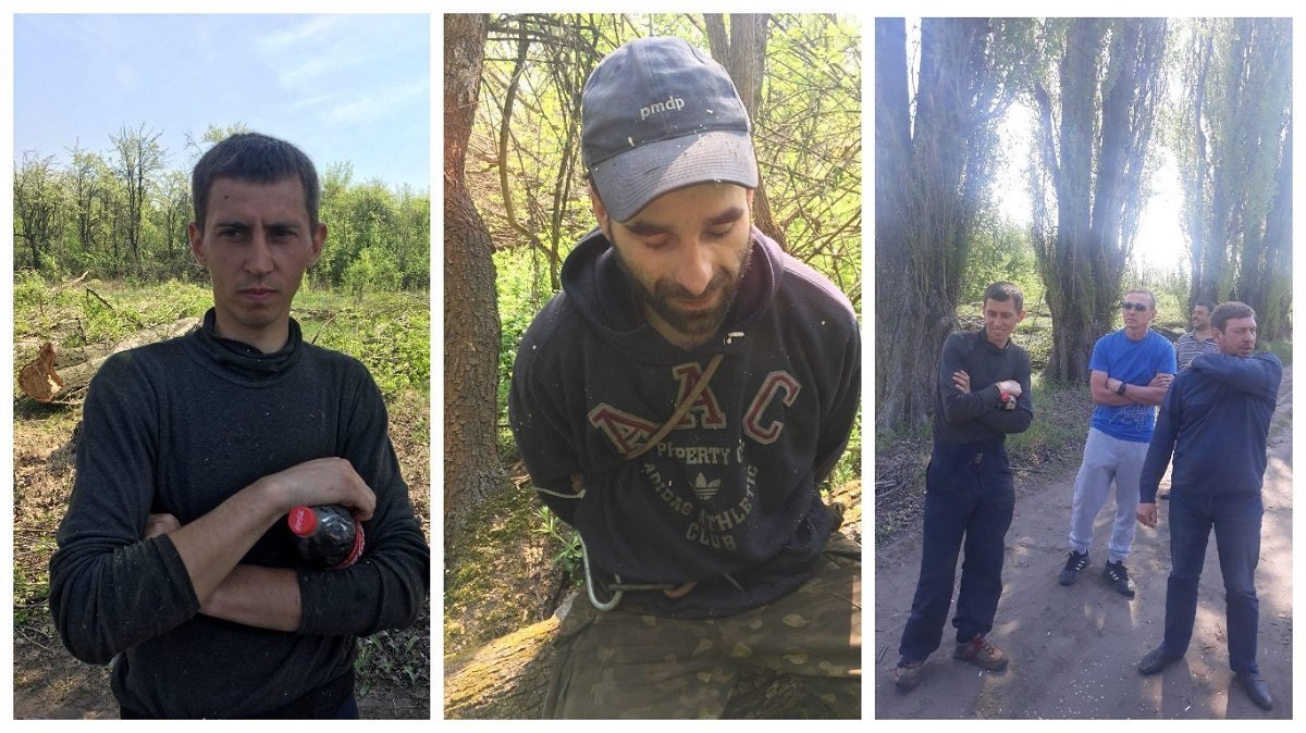 В Днепре группа неизвестных в саду Винного завода выпиливала деревья