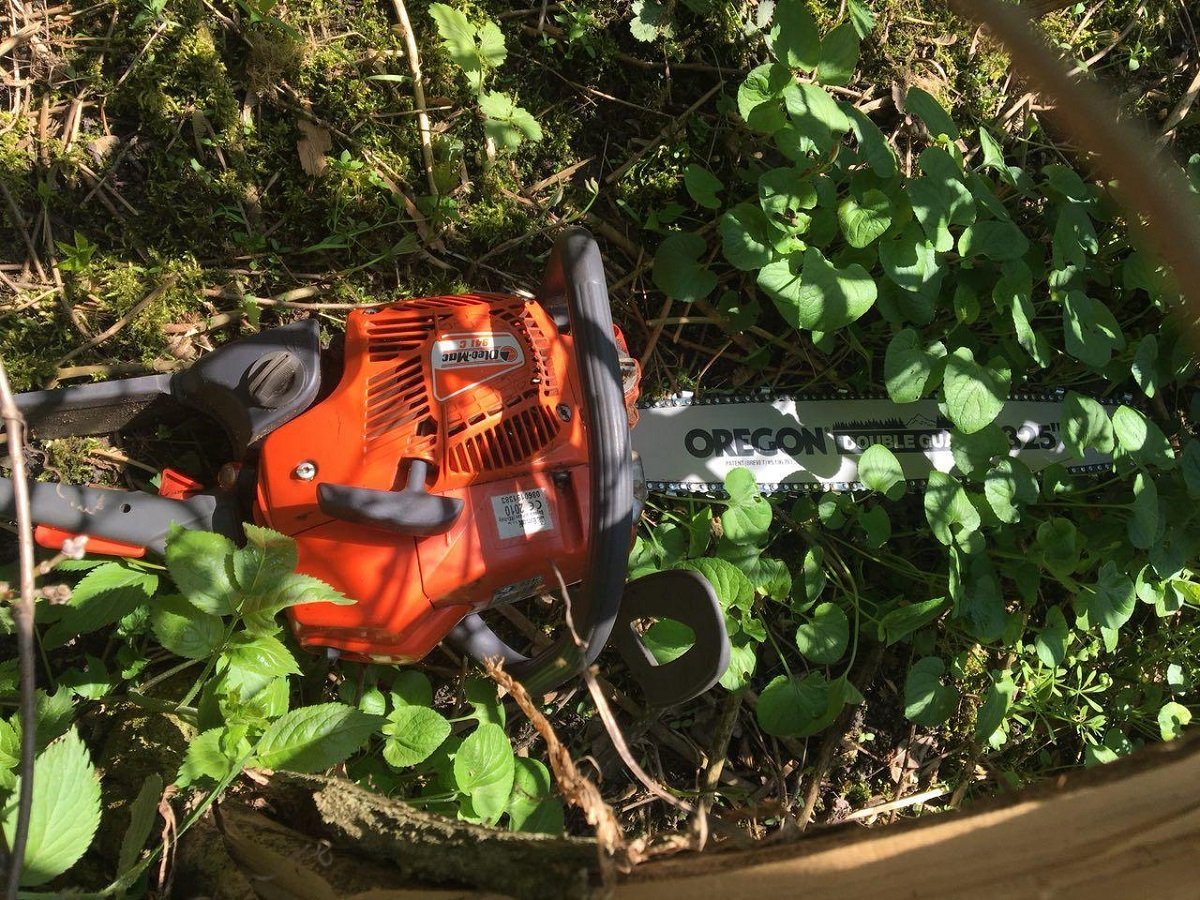 У задержанных изъяли бензопилу, ручную пилку и топор