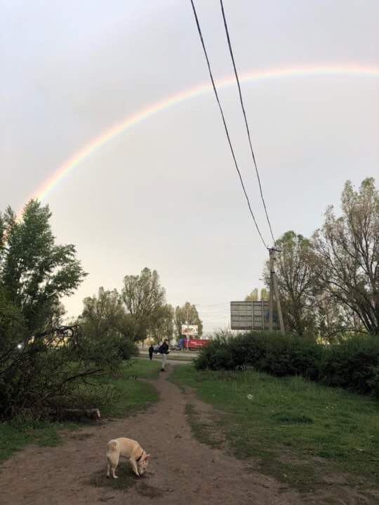 Мост, соединяющий небо и землю Мост, соединяющий небо и землю