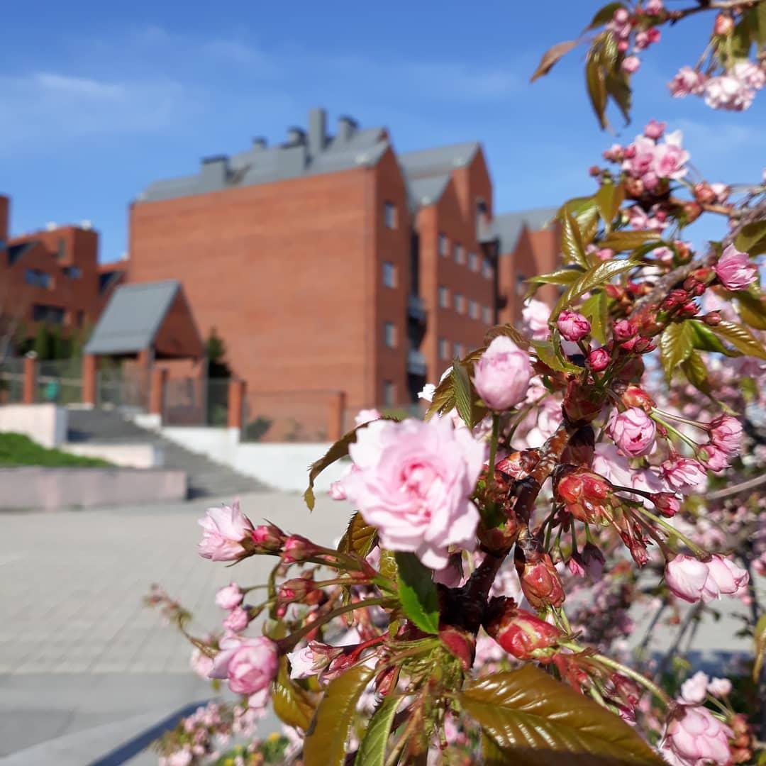 Весенний Днепр. Фото: just_annet13 Весенний Днепр. Фото: just_annet13