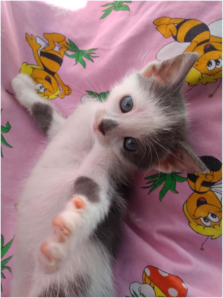 Приди за мной